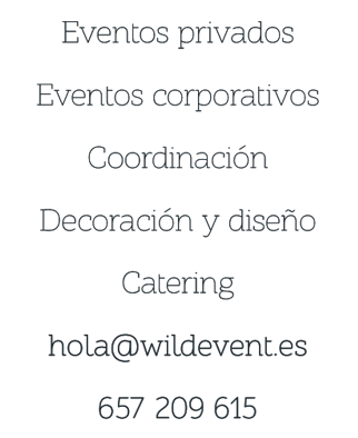 Logo Wild Event